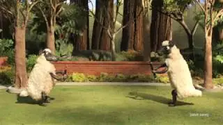 Robot Chicken - Sheep Battle