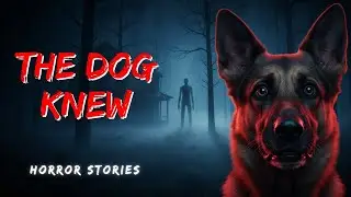 4 Scary Stories Where Dogs Saved the Day