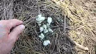 Ghostkamo Tagged-Meet the Bushcrafters