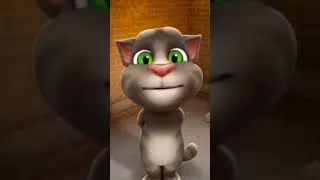 Buri Nazar Wale Tera Muh Kala #cat #new #song #viral