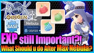 Что делать с дополнительным опытом?! Готовьтесь сейчас!! [Ragnarok Origin Global]