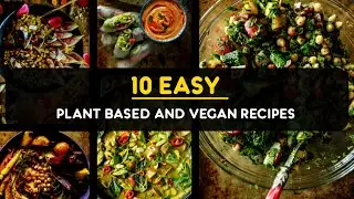 Top 10 Easy Plant-based & Vegan Recipes