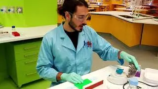 Microbial Ecology - PCR