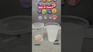 #stem #density #science #elementary #simplescience #egg #float #5minscience #simplescience #steam