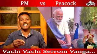 #PM vs #Peacock Vachi Vachi Seivom Vanga......