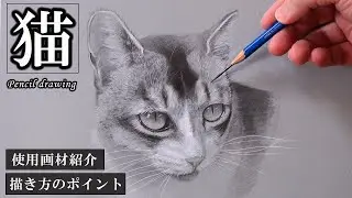 【鉛筆画】ネコをうまく描くための基本的な描き方「グレーの紙に白黒で描く」/デッサン/スケッチ/ドローイング