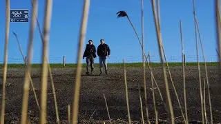 Het vernieuwde Waddengebied in AquaZoo