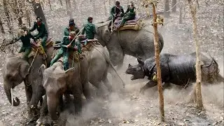 9  Momentos terr&iacute;veis e horripilantes de animais fora de controle