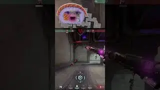 level 326 silver afk epic clutch | #novali_t on #Twitch