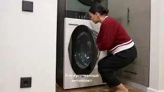 19 ноября 2025 г.