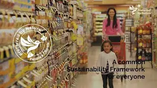 A Sustainability Framework for Everyone