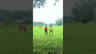 winter morning funny 🤣 #funny #comedyfilms #comedy #viral