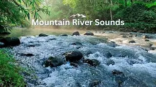 Soothing Forest River Sounds for Anxiety Control | No Music