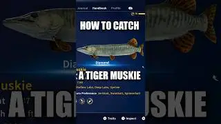 Как поймать алмазного тигрового маскинга! #игра #рыбалка #callofthewildgameplay #cotw