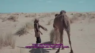 Animal Tools That Will Change How You See Culture