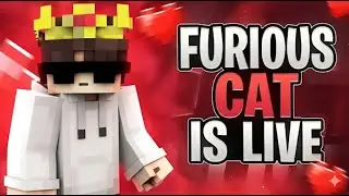 Furious Cat Plays Minecraft LIVE 😾🔥