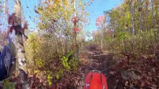 Wolverine Michigan Tomahawk B trail following Rob. One tipover for each of us