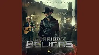 El 5.3