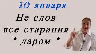 🔴 10 января 2026 🔴 Нет слов… все старания * даром *……. Розанна Княжанская