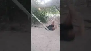 MORTAL NA REDE.O MELHOR