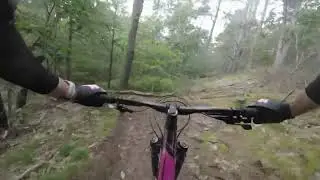Ledge Mountain Bike Trail - Mount Agamenticus Maine