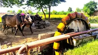 Persian Water Method In Irrigation System of Punjab | Old Technology of Water Wheel