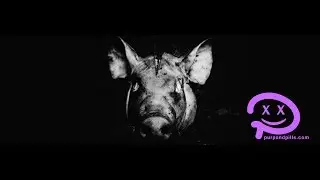 Slaughterhouse House Rules Full Mixtape