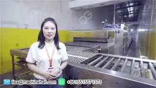 20000pcs/h Automatic Swiss Roll Cake Production Line for Bakery