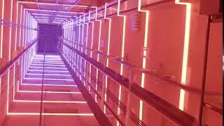 A'DAM LOOKOUT elevator experience