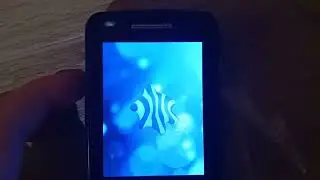 Bardzo Rzadka Aminacja Play'a