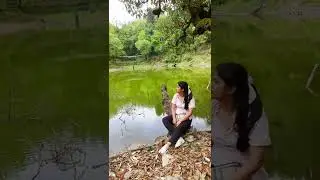 beautiful view of panchase lake