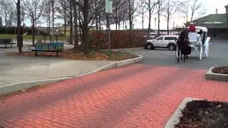 Pottstown Carriage Rides Video