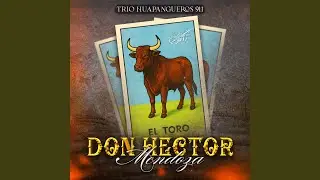 Don Hector Mendoza El Toro