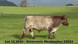 Lot 12 2024   Glenrossie Meatpacker 22043