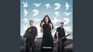 Polet (feat. Güldeste Mamaç)