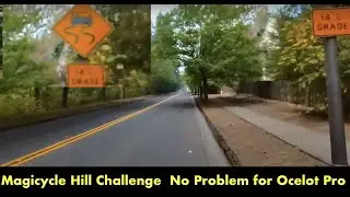 Magicycle Hill Challenger Ocelot Pro