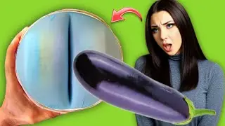 Best toy with a glove & 2 sponges