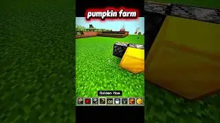Minecraft pumpkin farm tutorial #minecraft#short#samkingcraft#ncgamer
