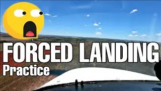 Forced Landing & Practice Cessna 172 🛩 Fly With Sky