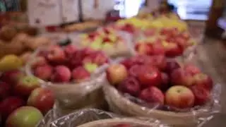 Ontario Apples and Storage Technology