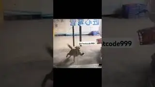 Random videos I found #37 | #viralvideo #funny #funnyvideo #funnyshorts #cinemabandi #comedy #fun