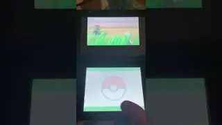Pokeradar Pokemon Platinum Kecleon Chain Of 8 Fail Pokedex 352 Noosa North Shore 4WD
