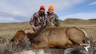 6.5 Creedmoor vs. Cow Elk -- DIY Late Season Cow Elk success! #success  #yt  #hunting