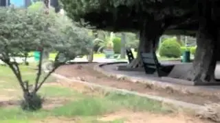 Sanayeh Garden (Ren&eacute; Moawad Garden)