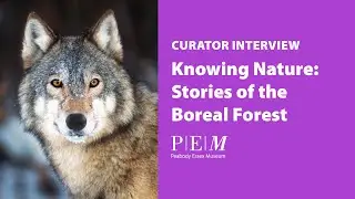 Knowing Nature: Stories of the Boreal Forest