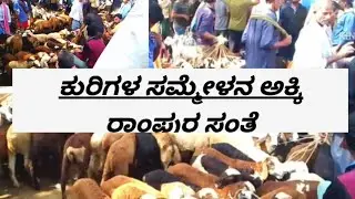 ತುಮಕೂರು ಜಿಲ್ಲೆಯ ಮೈಲಿಗಲ್ಲು ಅಕ್ಕಿ ರಾಂಪುರ ಮರಿ ಸಂತೆ @AGRIANIMALS
