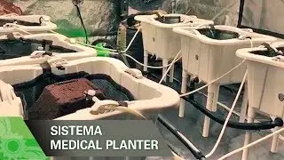 Kit Medical Planter - The Bucket Company