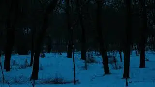 vandalism - bleach (slowed+reverb)