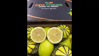 Adalia Lemon GEO FARMS Brand From Egypt