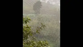 A beautiful Pallangi falls #kodaikanal #pallangi #waterfall #fog #nature #travel #fantastic
